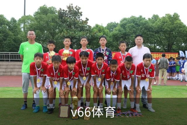 v66体育公司简介图片